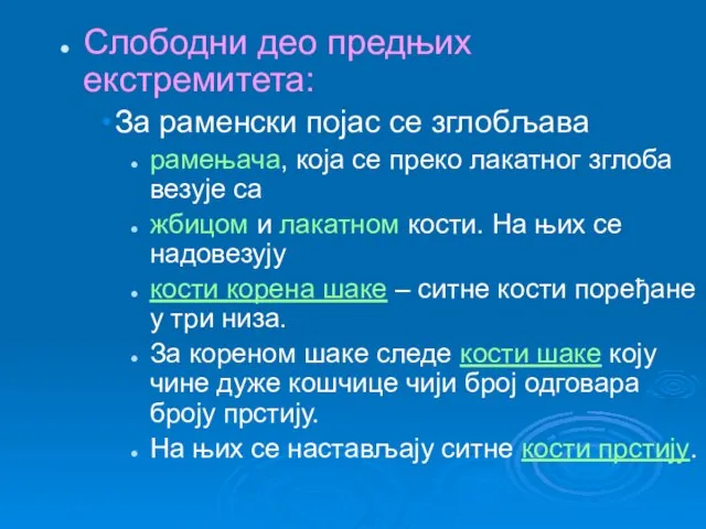 Слободни део предњих екстремитета: За раменски појас се зглобљава рамењача, која се