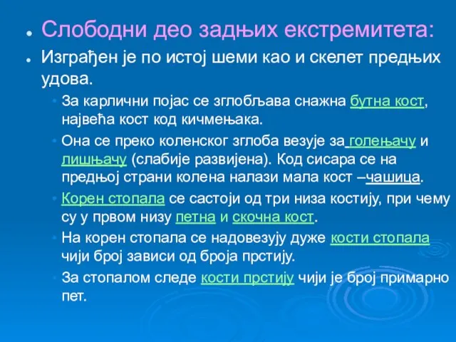 Слободни део задњих екстремитета: Изграђен је по истој шеми као и скелет