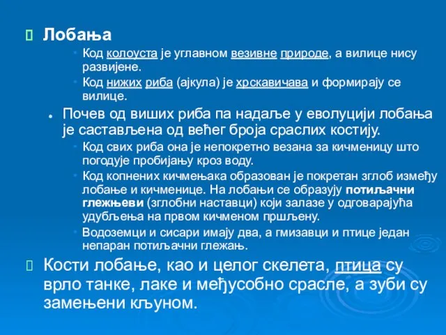 Лобања Код колоуста је углавном везивне природе, а вилице нису развијене. Код