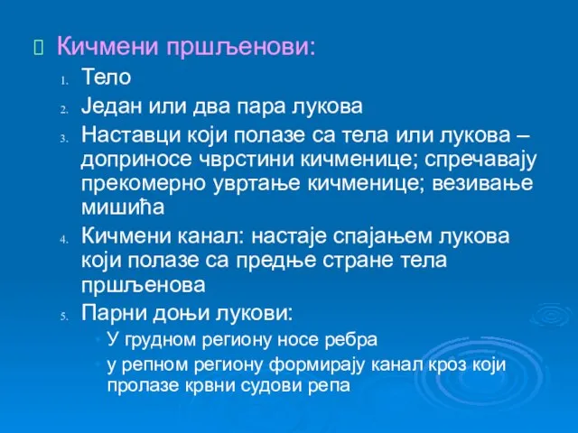 Кичмени пршљенови: Тело Један или два пара лукова Наставци који полазе са