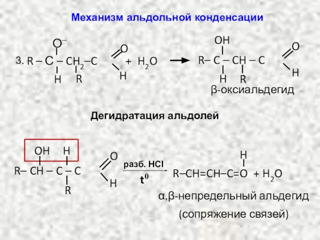 β-оксиальдегид R – С – CH2–C O H H О– R +