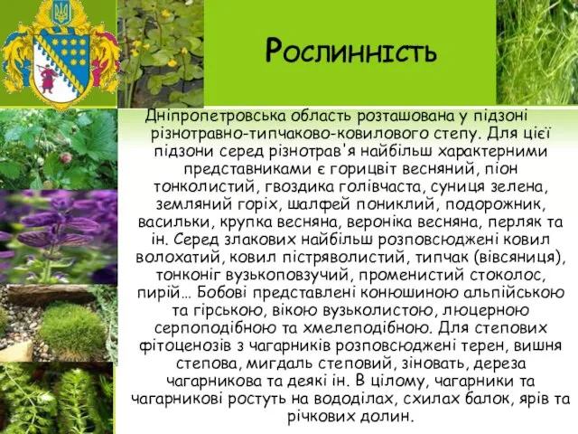 Рослинність Дніпропетровська область розташована у підзоні різнотравно-типчаково-ковилового степу. Для цієї підзони серед