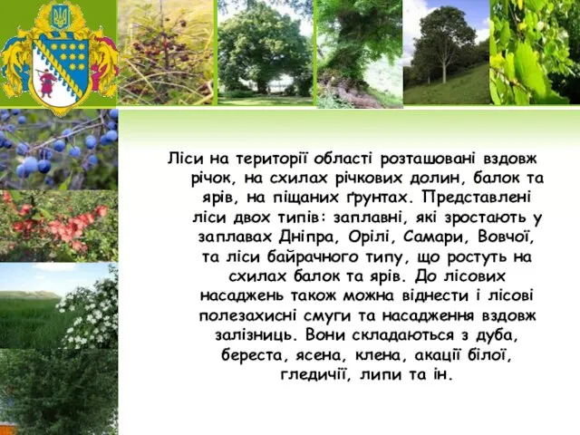 Ліси на території області розташовані вздовж річок, на схилах річкових долин, балок