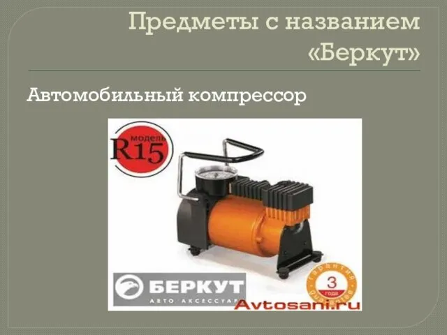 Предметы с названием «Беркут» Автомобильный компрессор