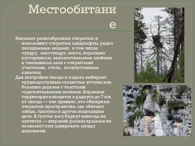 Местообитание Населяет разнообразные открытые и наполовину открытые ландшафты, редко посещаемые людьми, в