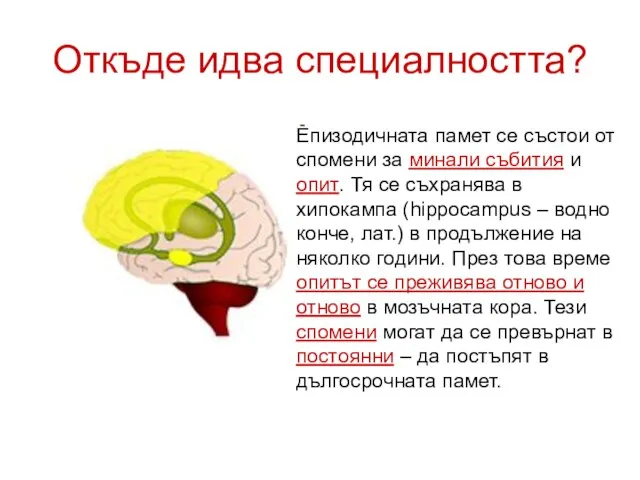 Откъде идва специалността? Епизодичната памет се състои от спомени за минали събития