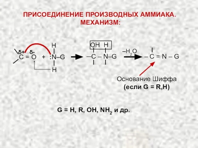 δ+ δ- ‒H2O Н Н OH H С = О + :N–G