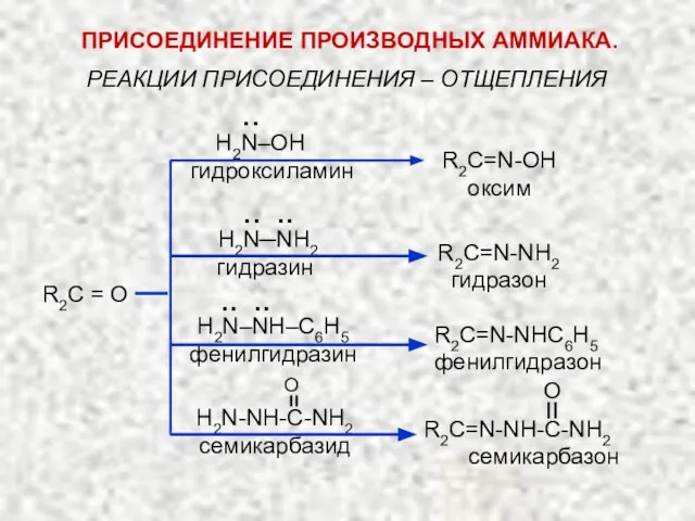 РЕАКЦИИ ПРИСОЕДИНЕНИЯ – ОТЩЕПЛЕНИЯ R2C = O H2N‒OH гидроксиламин R2C=N-OH оксим H2N─NH2