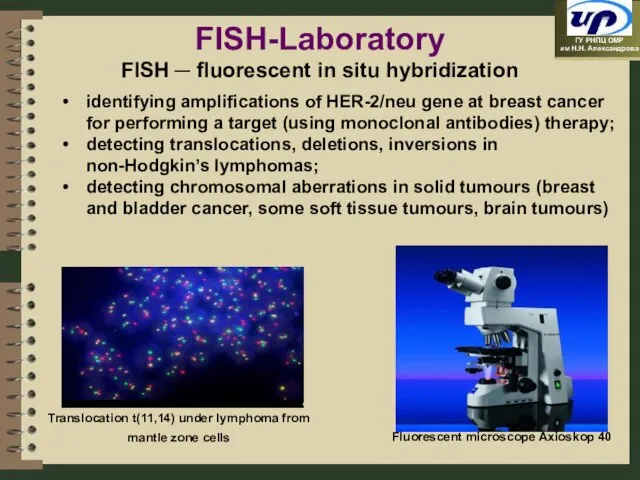 Translocation t(11,14) under lymphoma from mantle zone cells Fluorescent microscope Axioskop 40