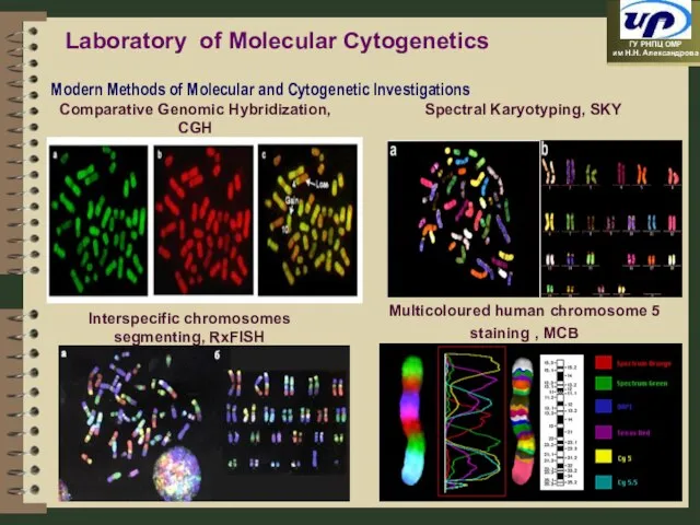 Laboratory of Molecular Cytogenetics