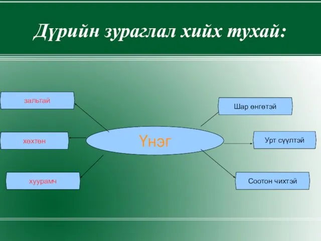 Дүрийн зураглал хийх тухай: Үнэг Шар өнгөтэй Урт сүүлтэй Соотон чихтэй хөхтөн хуурамч зальтай