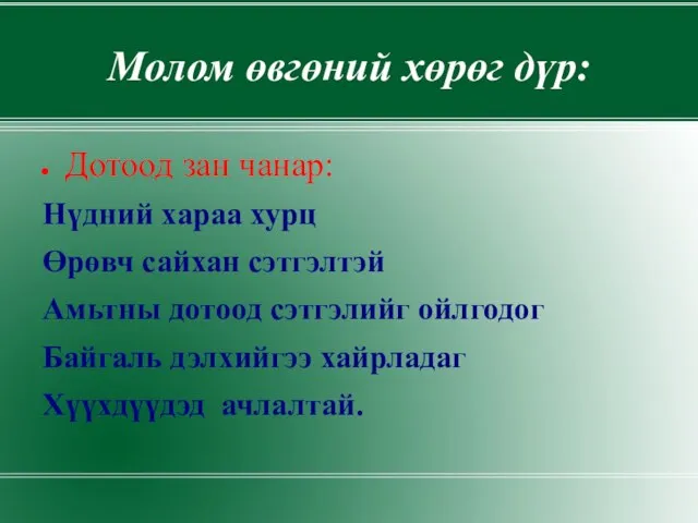 Молом өвгөний хөрөг дүр: Дотоод зан чанар: Нүдний хараа хурц Өрөвч сайхан