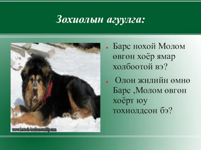 Зохиолын агуулга: Барс нохой Молом өвгөн хоёр ямар холбоотой вэ? Олон жилийн