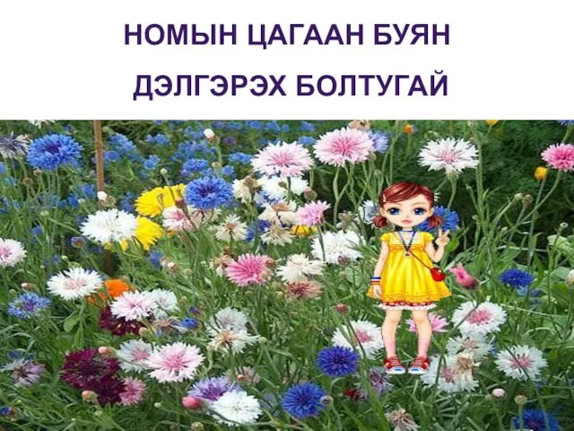 НОМЫН ЦАГААН БУЯН ДЭЛГЭРЭХ БОЛТУГАЙ