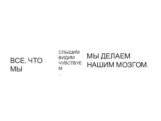 ВСЕ, ЧТО МЫ СЛЫШИМ ВИДИМ ЧУВСТВУЕМ … МЫ ДЕЛАЕМ НАШИМ МОЗГОМ.