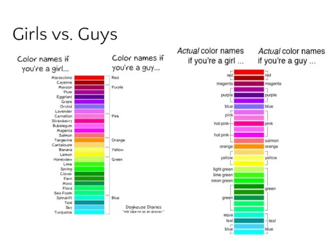 Girls vs. Guys