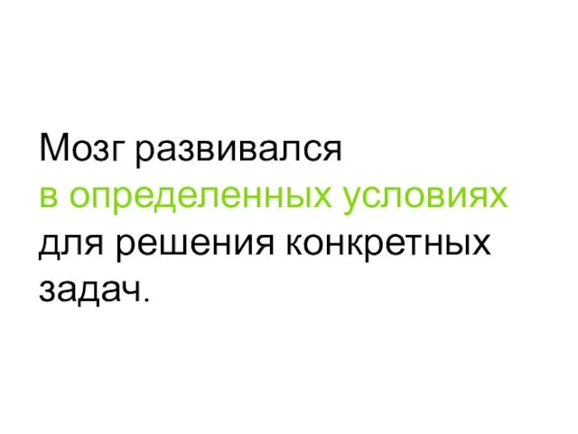 Мозг развивался в определенных условиях для решения конкретных задач.