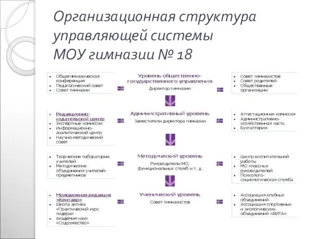 Организационная структура управляющей системы МОУ гимназии № 18