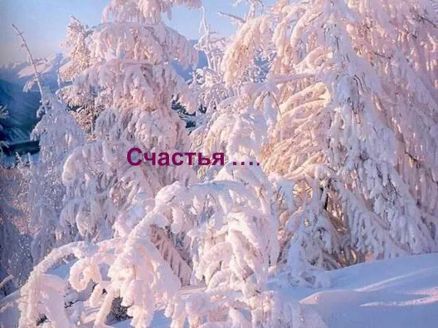 Счастья ….