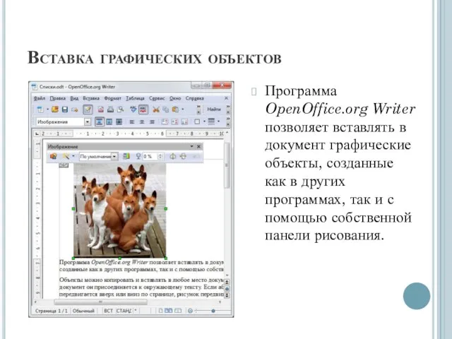 Вставка графических объектов Программа OpenOffice.org Writer позволяет вставлять в документ графические объекты,