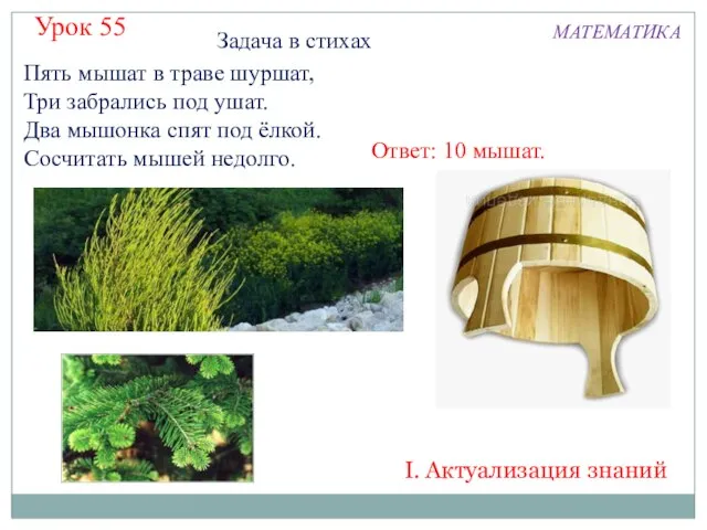 Пять мышат в траве шуршат, Три забрались под ушат. Два мышонка спят