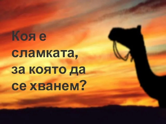 Коя е сламката, за която да се хванем?