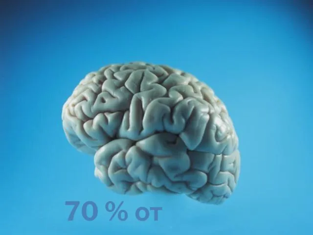 70 % от мозъка ти
