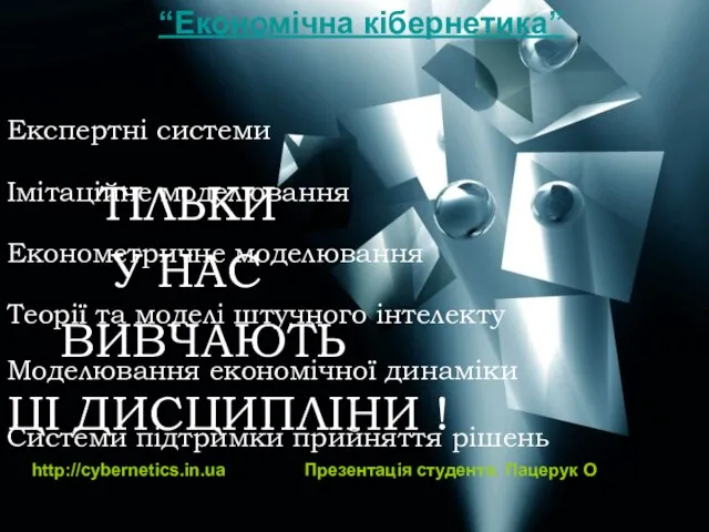 Економетричне моделювання Імітаційне моделювання Системи підтримки прийняття рішень Теорії та моделі штучного