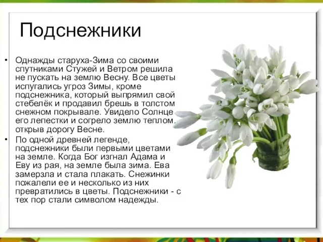 Подснежники Однажды старуха-Зима со своими спутниками Стужей и Ветром решила не пускать