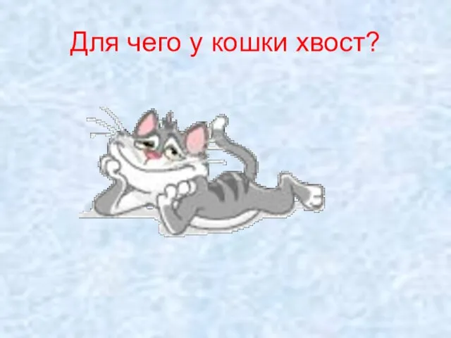 Для чего у кошки хвост?