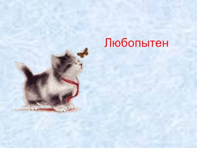 Любопытен