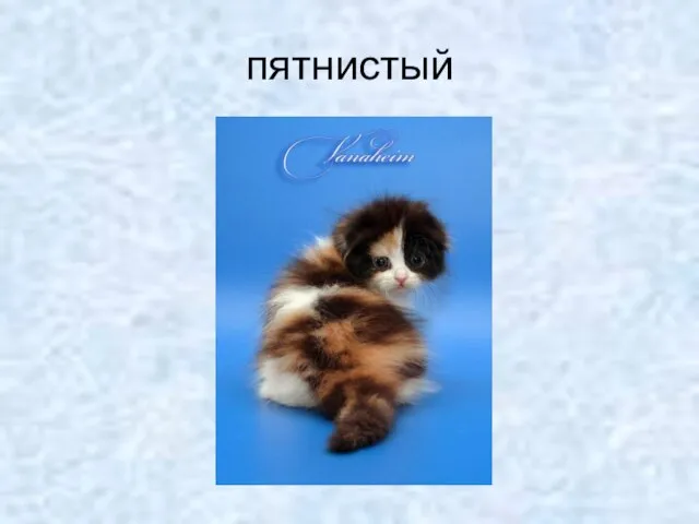 пятнистый