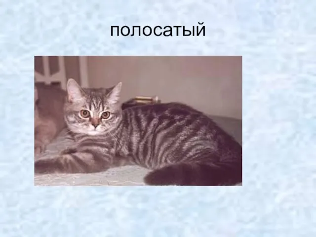 полосатый