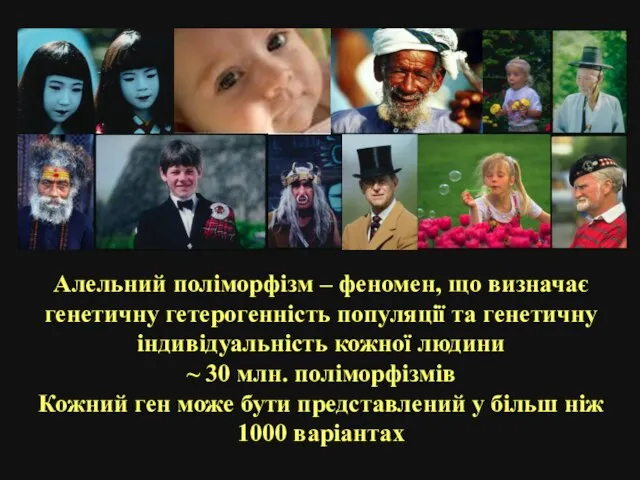 Алельний поліморфізм – феномен, що визначає генетичну гетерогенність популяції та генетичну індивідуальність