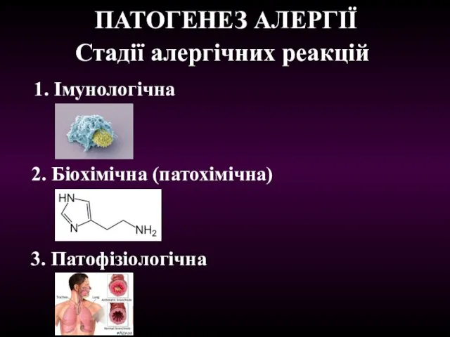 ПАТОГЕНЕЗ АЛЕРГІЇ 1. Імунологічна 2. Біохімічна (патохімічна) Стадії алергічних реакцій 3. Патофізіологічна