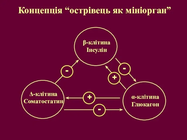 Концепція “острівець як мініорган”