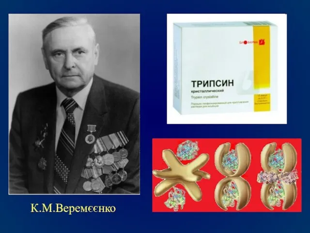 К.М.Веремєєнко