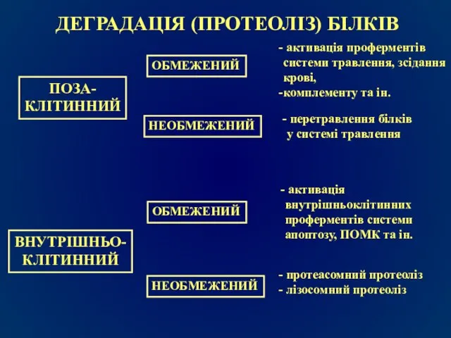 ДЕГРАДАЦІЯ (ПРОТЕОЛІЗ) БІЛКІВ ОБМЕЖЕНИЙ НЕОБМЕЖЕНИЙ ПОЗА- КЛІТИННИЙ ВНУТРІШНЬО- КЛІТИННИЙ ОБМЕЖЕНИЙ НЕОБМЕЖЕНИЙ активація