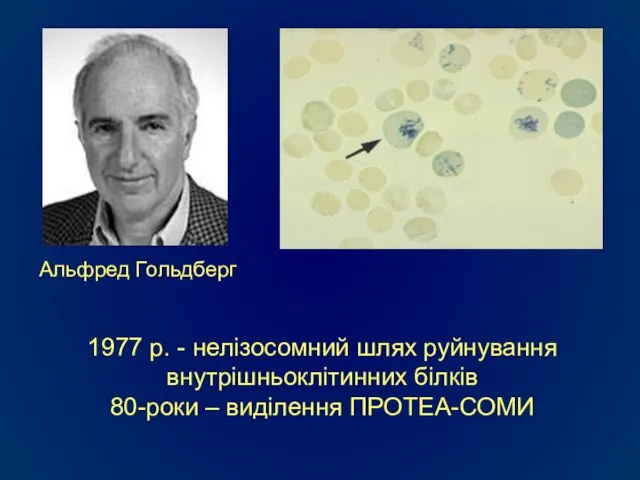 1977 р. - нелізосомний шлях руйнування внутрішньоклітинних білків 80-роки – виділення ПРОТЕА-СОМИ Альфред Гольдберг