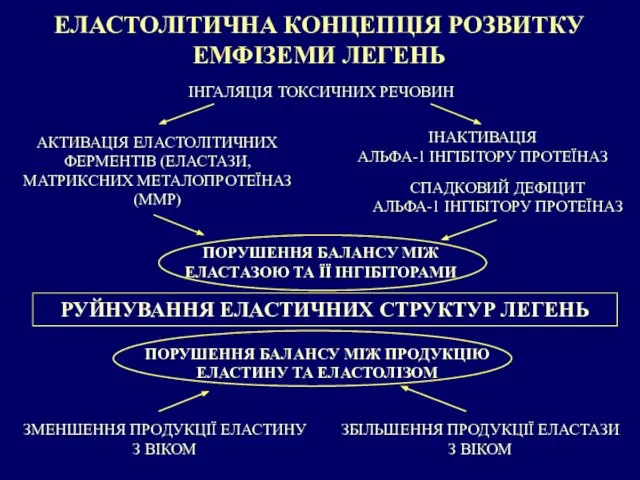 ЕЛАСТОЛІТИЧНА КОНЦЕПЦІЯ РОЗВИТКУ ЕМФІЗЕМИ ЛЕГЕНЬ АКТИВАЦІЯ ЕЛАСТОЛІТИЧНИХ ФЕРМЕНТІВ (ЕЛАСТАЗИ, МАТРИКСНИХ МЕТАЛОПРОТЕЇНАЗ (ММР)