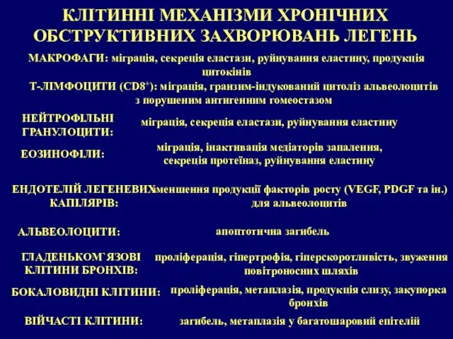 КЛІТИННІ МЕХАНІЗМИ ХРОНІЧНИХ ОБСТРУКТИВНИХ ЗАХВОРЮВАНЬ ЛЕГЕНЬ МАКРОФАГИ: міграція, секреція еластази, руйнування еластину,