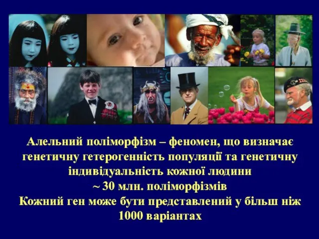 Алельний поліморфізм – феномен, що визначає генетичну гетерогенність популяції та генетичну індивідуальність