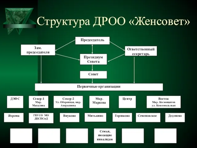 Структура ДРОО «Женсовет» Председатель Зам. председателя Ответственный секретарь Президиум Совета Совет Первичные