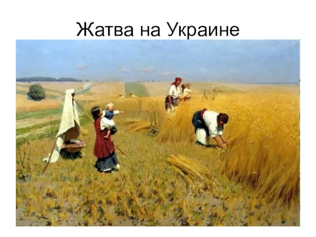 Жатва на Украине