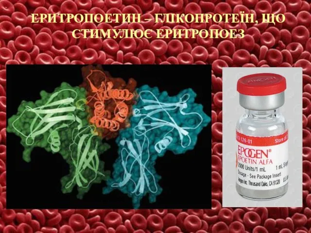 ЕРИТРОПОЕТИН – ГЛІКОПРОТЕЇН, ЩО СТИМУЛЮЄ ЕРИТРОПОЕЗ