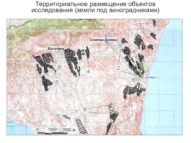 Территориальное размещение объектов исследования (земли под виноградниками)