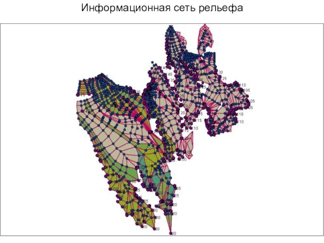 Информационная сеть рельефа