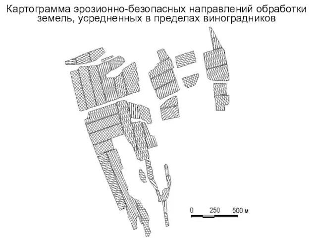 Картограмма эрозионно-безопасных направлений обработки земель, усредненных в пределах виноградников