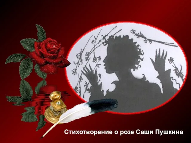 Стихотворение о розе Саши Пушкина