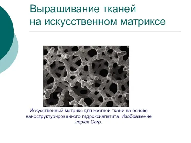 Выращивание тканей на искусственном матриксе Искусственный матрикс для костной ткани на основе